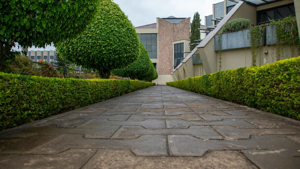 Professional landscaping crew working on a premium lawn design
