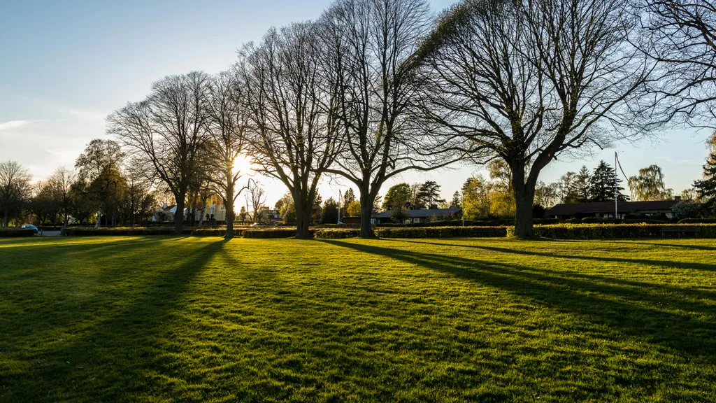Beautifully manicured residential lawn and landscape design