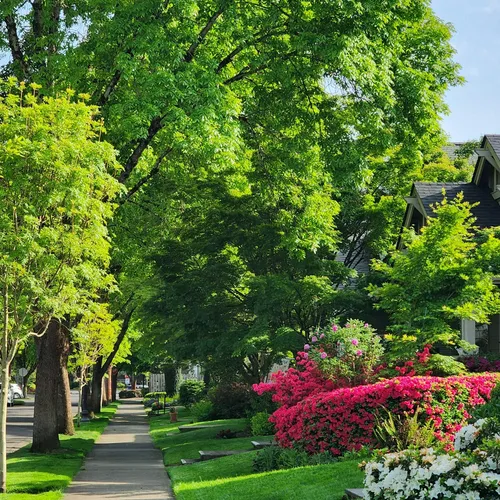 Clean landscaping lines and fresh mulch beds